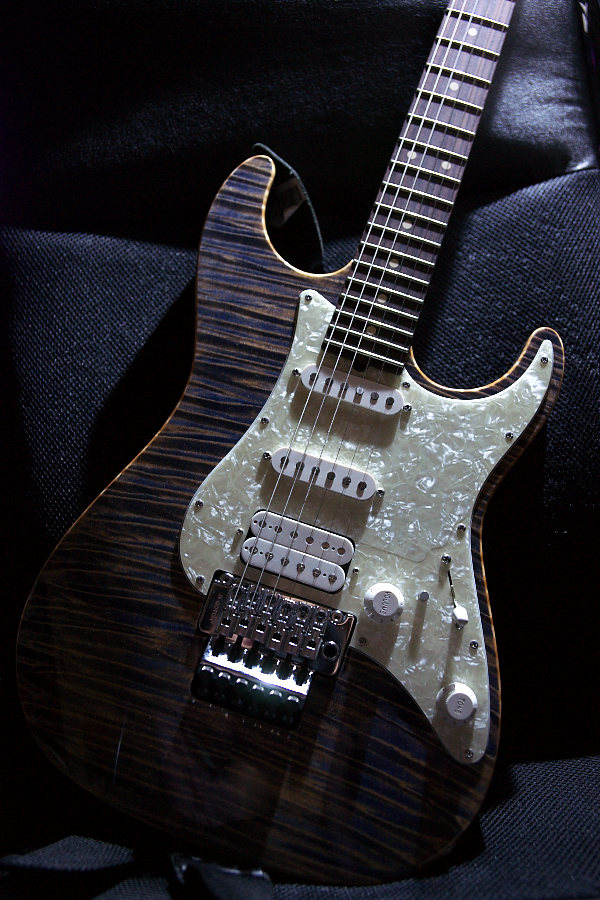 Suhr Pro Series | ～何の役にも立たないblog～写真＆ギター
