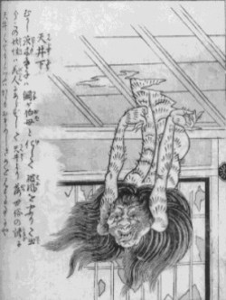 木の上の妖怪様 312N76383PL._UF350,350_QL50_.jpg