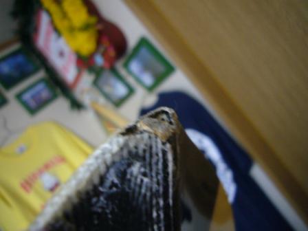 AIPAのビンテージボード買ったョ！ | MY LIFE STORY - 楽天ブログ