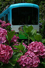 TOP-koutu.jpg