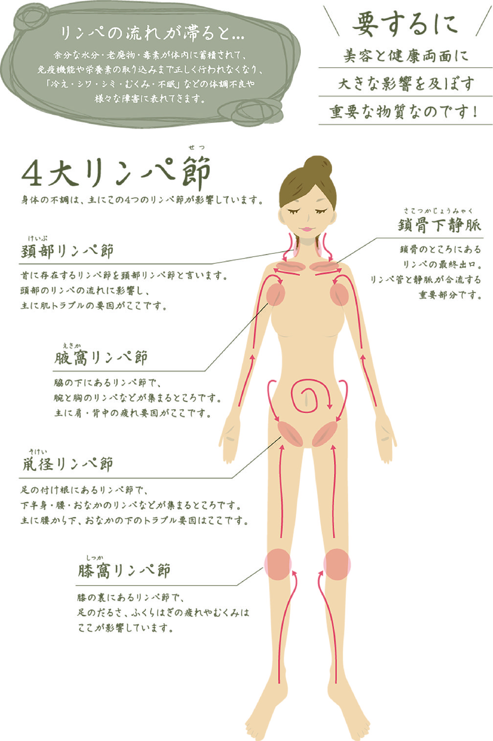 リンパ 中間市のエステティックサロンラズベリー Http Www Raspberry Jp Com 楽天ブログ