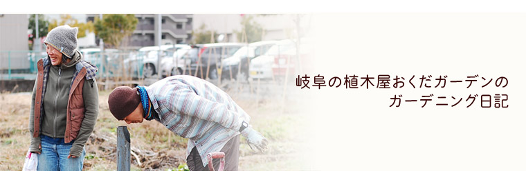 岐阜の植木屋おくだガーデンのガーデニング庭師日記 楽天ブログ