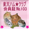 No.103 クーちゃん