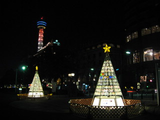 山下公園のクリスマスツリー２ 横浜散歩by横浜セブン 楽天ブログ