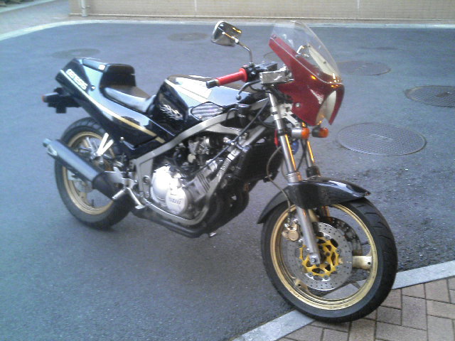 FZR250改にビキニカウル装着(σ・∀・)σ | Day By Day(CBX250Sと
