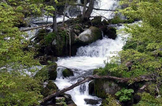 鷹見橋から