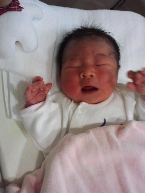 ガッツ しえ の 楽天ブログ ガッツ しえ の 楽天ブログ