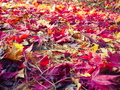 花巻温泉　ホテル紅葉館