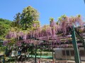 日の出温泉