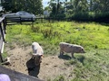 サイズリゾートホテル裏磐梯