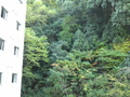 ホテル泰平　松山城下の天然温泉「橄欖の湯」—奥道後温泉引き湯—