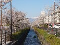 甲州牛の宿　石和温泉　石和常磐ホテル