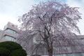 気仙沼プラザホテル