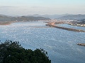 山みず木