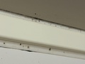 小野田セントラルホテル＜山口県＞