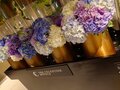 ホテル　ザ　セレスティン京都祇園