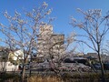 甲州牛の宿　石和温泉　石和常磐ホテル