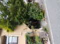 下部温泉　旅館・お食事処いしもと