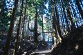 駒鳥山荘