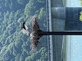 城崎温泉　あさぎり荘