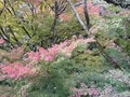 割烹旅館　みはる荘
