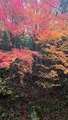 湯本館＜岐阜県美濃市＞
