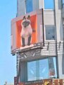 ダイワロイネットホテル山形駅前