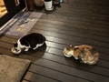 またたびや　宮古島の風が吹きぬける丘の宿　＜宮古島＞