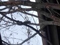 杜の湯　きらの里（共立リゾート）