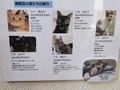 宇佐美温泉　温泉民宿　海風荘