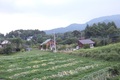 清里　ペンション　マリオネット＜山梨県＞