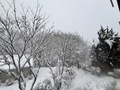沢渡温泉　宮田屋旅館