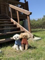 あてま温泉　当間高原リゾート　ベルナティオ