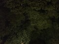 会津東山温泉　庄助の宿　瀧の湯
