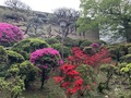 高知城下の天然温泉　三翠園（さんすいえん）