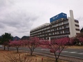 下田伊東園ホテルはな岬