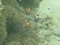 ペンション星の砂　＜沖縄県・西表島＞