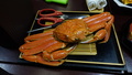 小浜温泉　くつろぎの宿　旅館山田屋