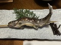 老神温泉　源泉かけ流しの宿　金龍園