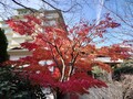 伊豆長岡温泉　ホテル天坊
