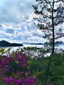 休暇村　大久野島