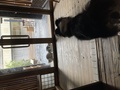 老神温泉　天然湯　見晴荘