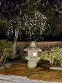 湯河原温泉　ふきや