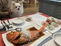 ワンちゃんと一緒！海一望の宿　ピッコラルージュ