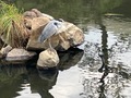 百年庭園の宿　翠水（登録有形文化財／アートホテル小倉ニュータガワ内）