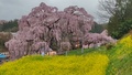 Ｌａｋｅ　ｓｉｄｅ　ｉｎｎ　Ｂｅｅｈｉｖｅ（びーはいぶ）