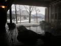 麒麟山温泉　雪つばきの宿　古澤屋