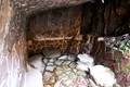 いにしえの宿　梅ヶ島温泉泉屋旅館