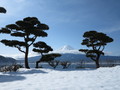 富士河口湖温泉　秀峰閣　湖月