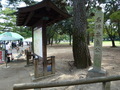 古都奈良の宿　飛鳥荘